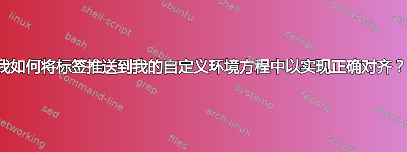 我如何将标签推送到我的自定义环境方程中以实现正确对齐？