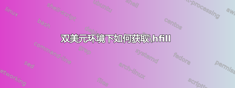 双美元环境下如何获取\hfill