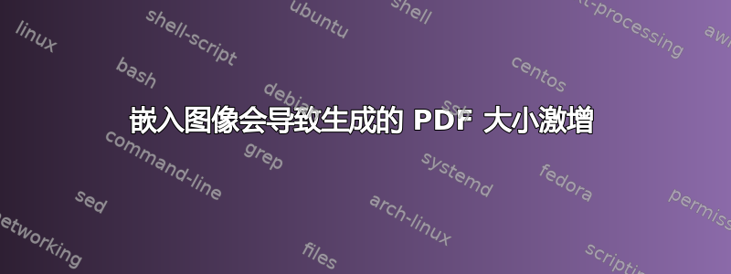 嵌入图像会导致生成的 PDF 大小激增