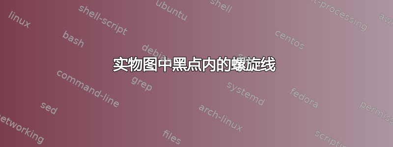 实物图中黑点内的螺旋线