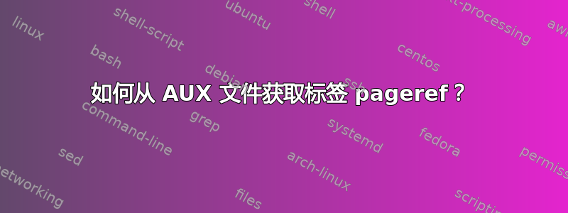 如何从 AUX 文件获取标签 pageref？