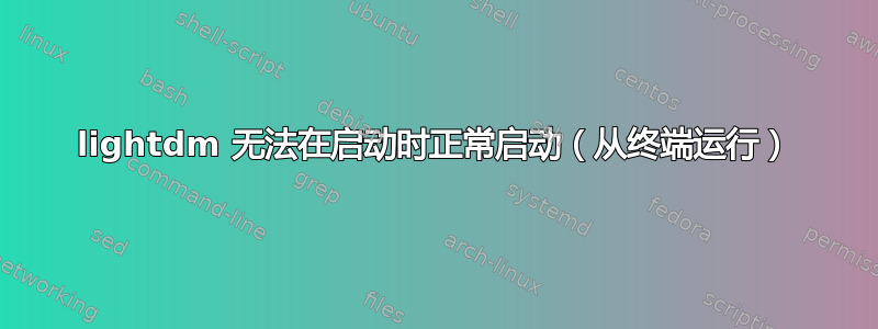 lightdm 无法在启动时正常启动（从终端运行）