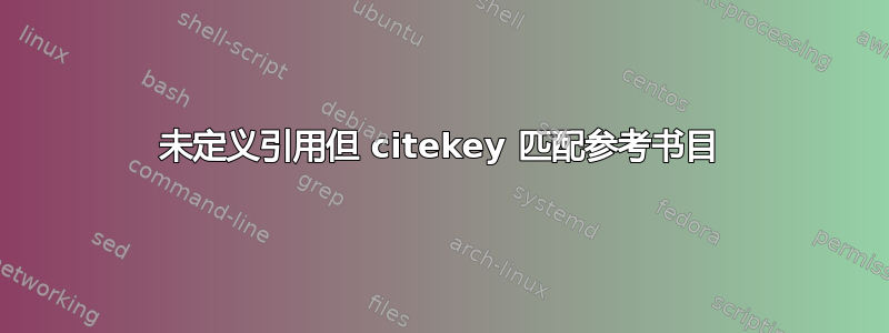 未定义引用但 citekey 匹配参考书目