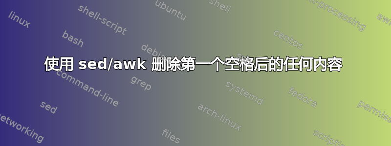 使用 sed/awk 删除第一个空格后的任何内容