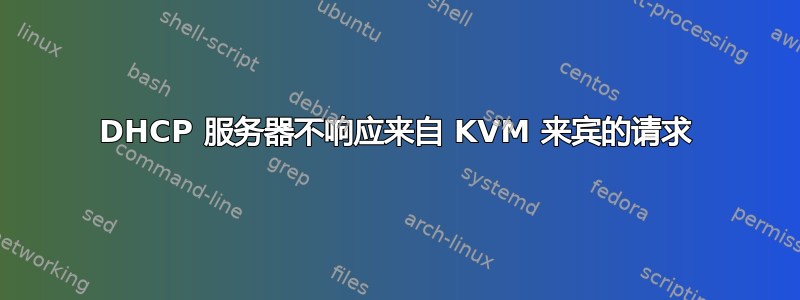 DHCP 服务器不响应来自 KVM 来宾的请求