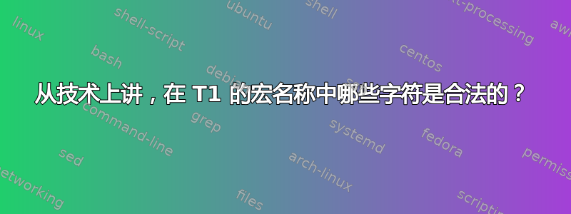 从技术上讲，在 T1 的宏名称中哪些字符是合法的？