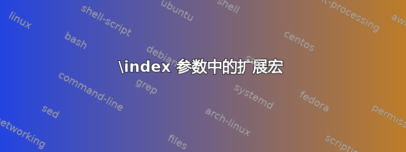 \index 参数中的扩展宏