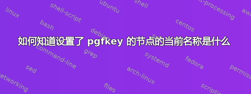 如何知道设置了 pgfkey 的节点的当前名称是什么