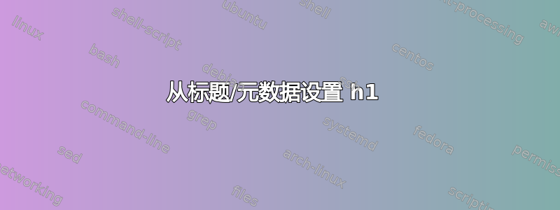 从标题/元数据设置 h1 