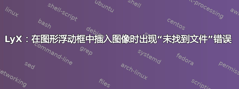 LyX：在图形浮动框中插入图像时出现“未找到文件”错误