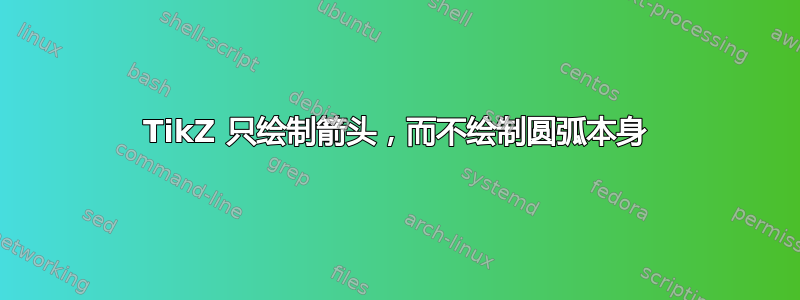 TikZ 只绘制箭头，而不绘制圆弧本身