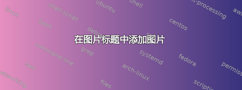 在图片标题中添加图片