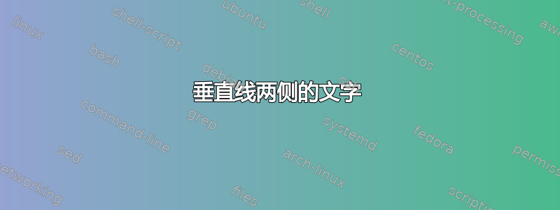 垂直线两侧的文字