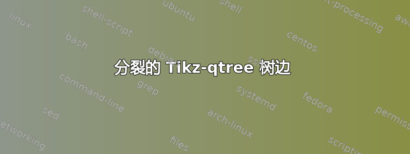 分裂的 Tikz-qtree 树边