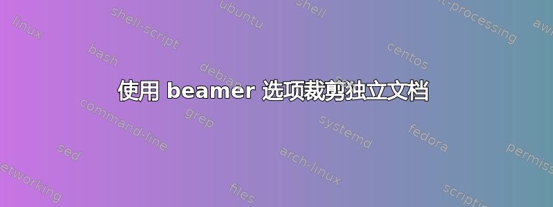 使用 beamer 选项裁剪独立文档