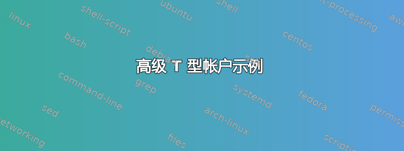 高级 T 型帐户示例