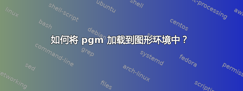 如何将 pgm 加载到图形环境中？