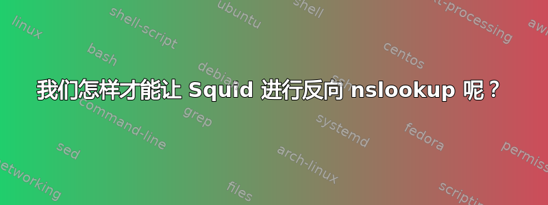 我们怎样才能让 Squid 进行反向 nslookup 呢？