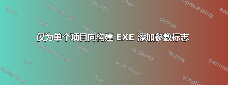 仅为单个项目向构建 EXE 添加参数标志