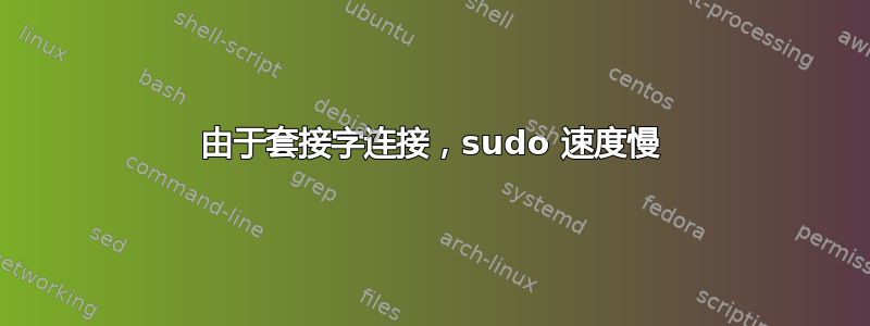 由于套接字连接，sudo 速度慢