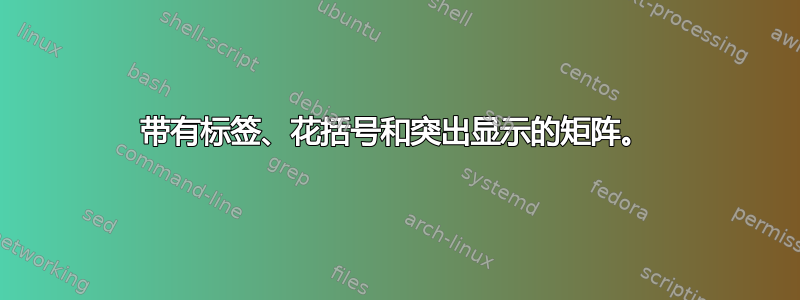 带有标签、花括号和突出显示的矩阵。