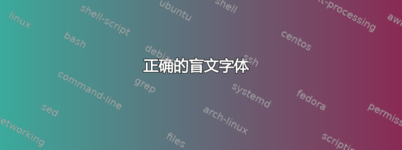 正确的盲文字体 