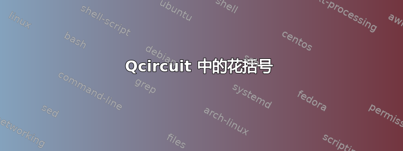 Qcircuit 中的花括号