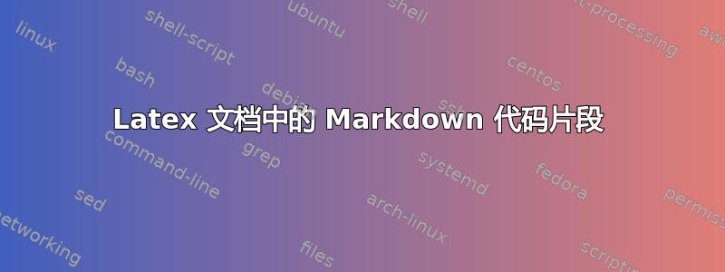 Latex 文档中的 Markdown 代码片段