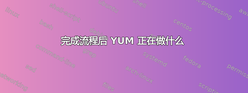 完成流程后 YUM 正在做什么