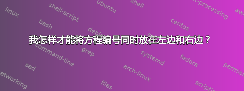 我怎样才能将方程编号同时放在左边和右边？