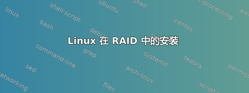 Linux 在 RAID 中的安装