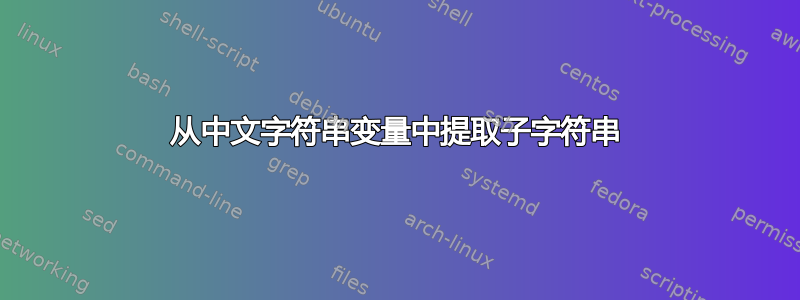 从中文字符串变量中提取子字符串