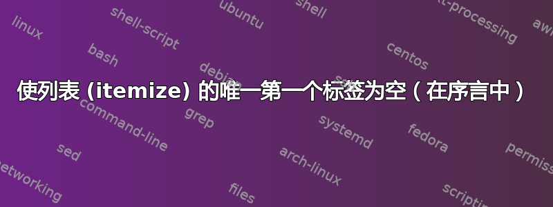 使列表 (itemize) 的唯一第一个标签为空（在序言中）