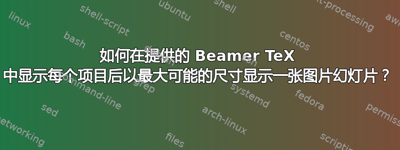 如何在提供的 Beamer TeX 中显示每个项目后以最大可能的尺寸显示一张图片幻灯片？