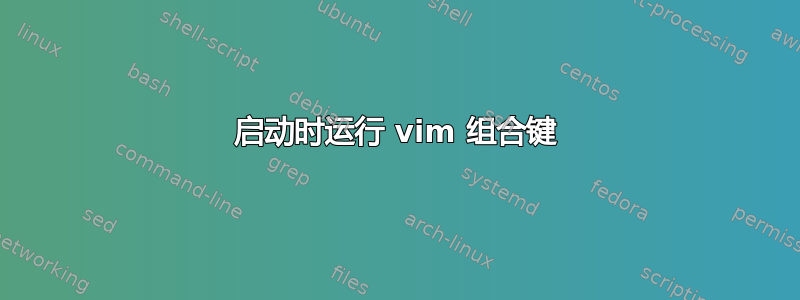 启动时运行 vim 组合键