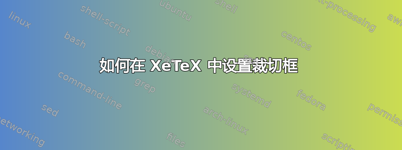 如何在 XeTeX 中设置裁切框