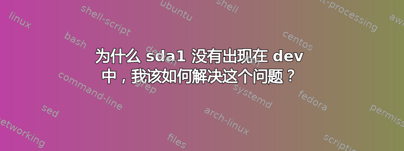 为什么 sda1 没有出现在 dev 中，我该如何解决这个问题？