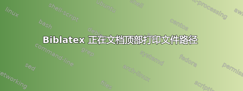 Biblatex 正在文档顶部打印文件路径