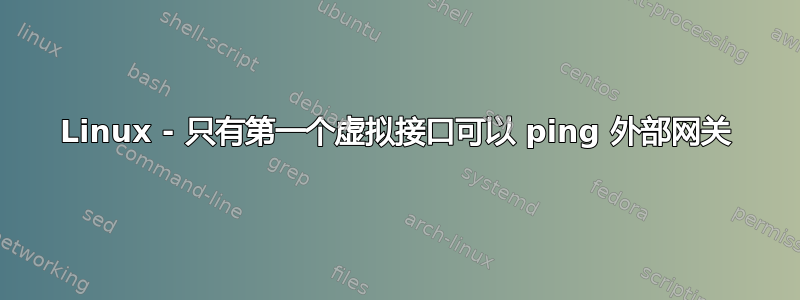 Linux - 只有第一个虚拟接口可以 ping 外部网关