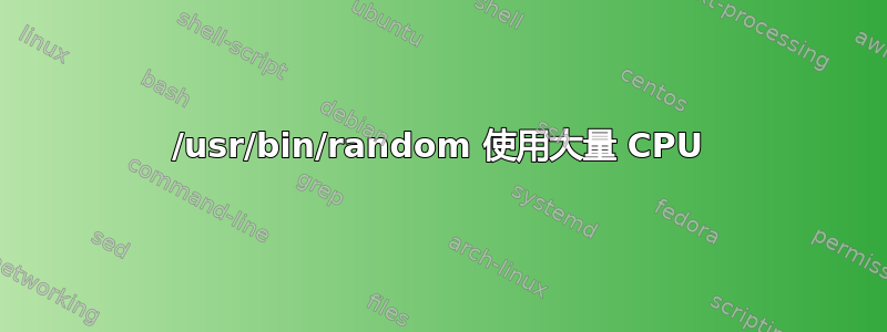 /usr/bin/random 使用大量 CPU