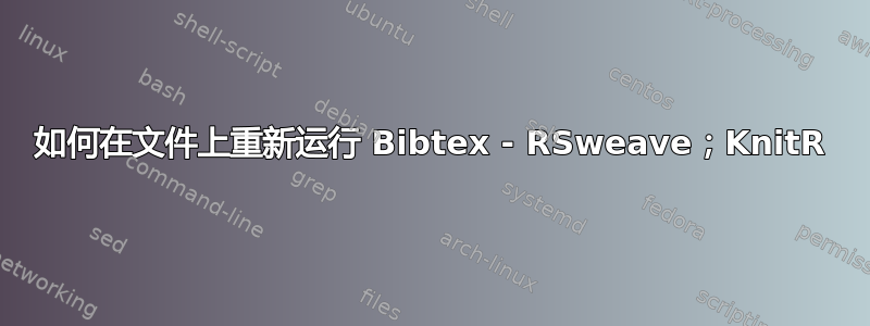 如何在文件上重新运行 Bibtex - RSweave；KnitR