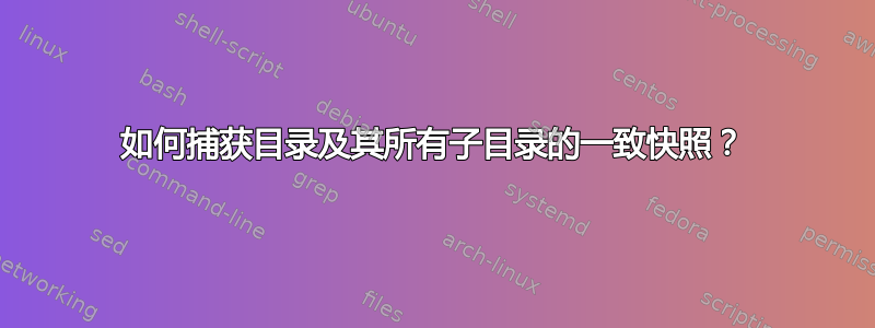 如何捕获目录及其所有子目录的一致快照？