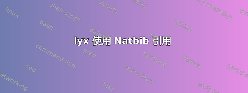 lyx 使用 Natbib 引用