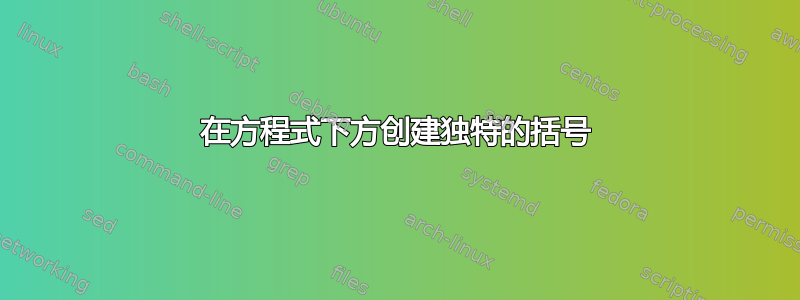 在方程式下方创建独特的括号