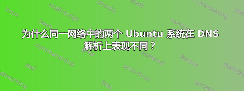 为什么同一网络中的两个 Ubuntu 系统在 DNS 解析上表现不同？