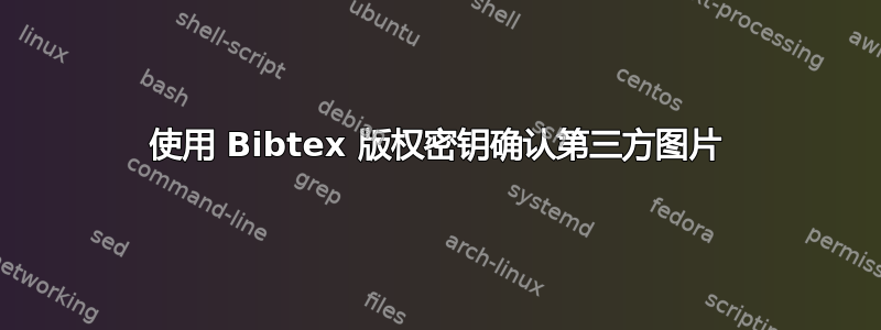 使用 Bibtex 版权密钥确认第三方图片