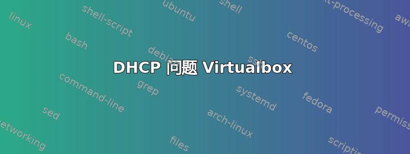 DHCP 问题 Virtualbox