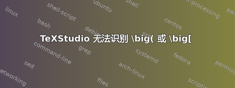 TeXStudio 无法识别 \big( 或 \big[