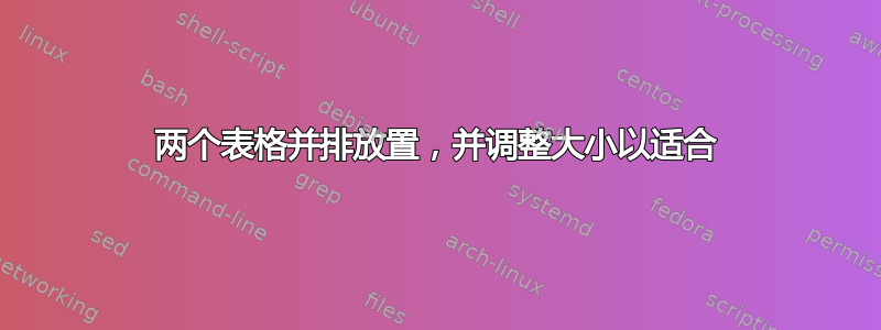 两个表格并排放置，并调整大小以适合