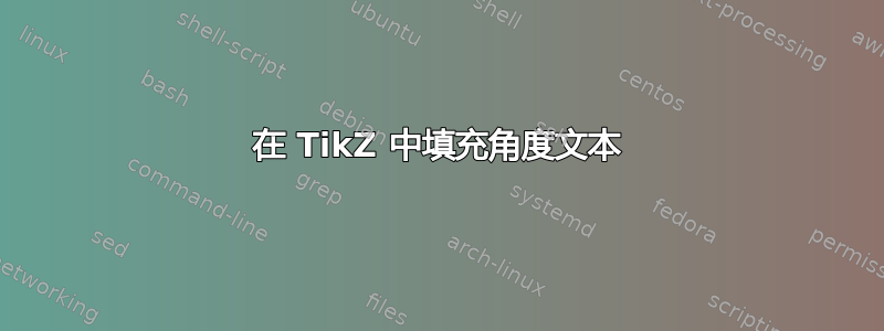 在 TikZ 中填充角度文本